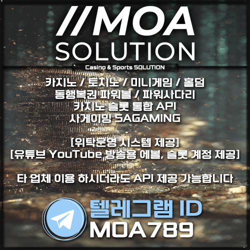 카지노솔루션.jpg